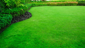 Lawns: The Green Canvas of Urban and Rural Landscapes